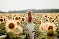 Sunflower8