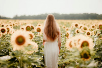 Sunflower7