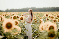 Sunflower10