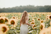 Sunflower16