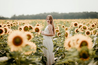 Sunflower12