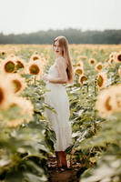 Sunflower13