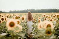 Sunflower14