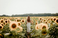 Sunflower15