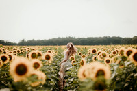 Sunflower17