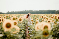 Sunflower19