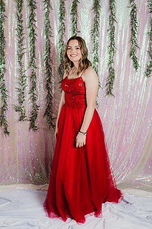 Prom Backdrop113