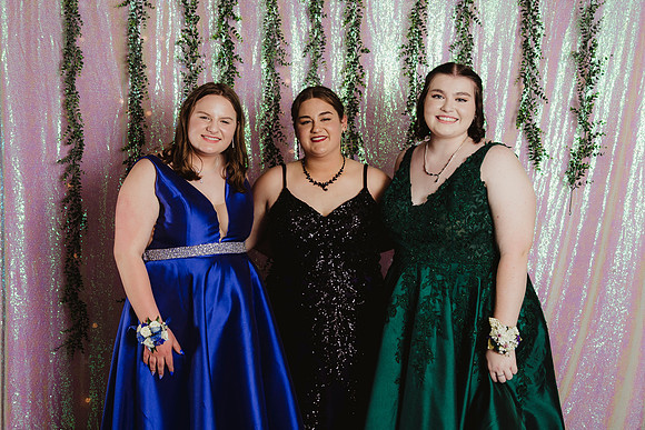 Prom Backdrop167