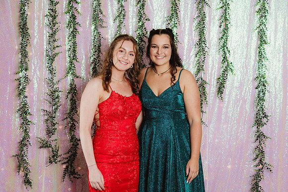 Prom Backdrop31