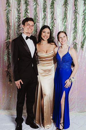 Prom Backdrop49