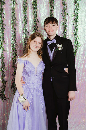 Prom Backdrop27