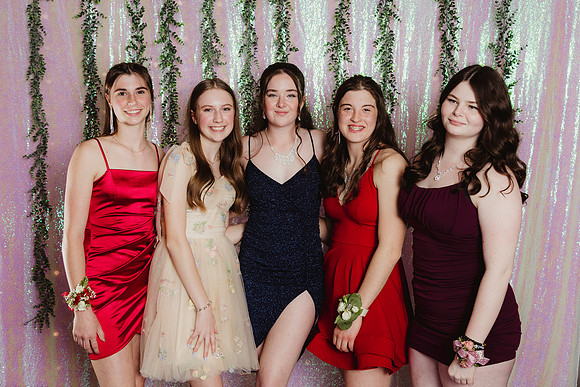 Prom Backdrop139