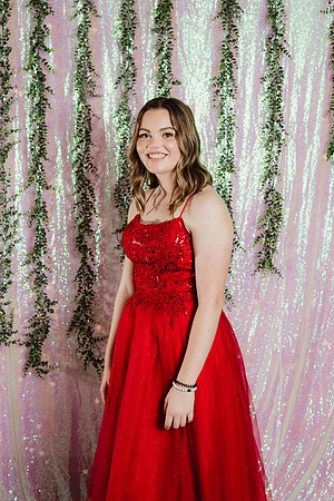Prom Backdrop114