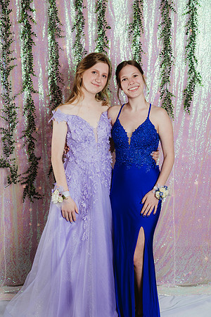 Prom Backdrop22