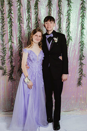 Prom Backdrop26