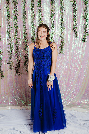 Prom Backdrop120