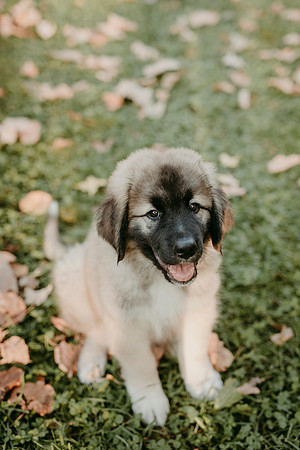 McKenna Fall48