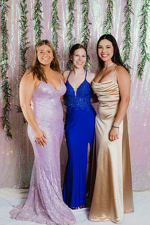 Prom Backdrop37