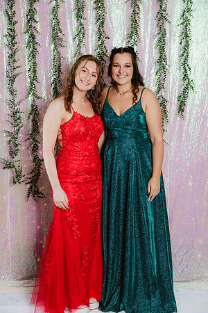 Prom Backdrop29