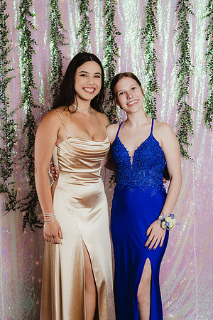 Prom Backdrop46