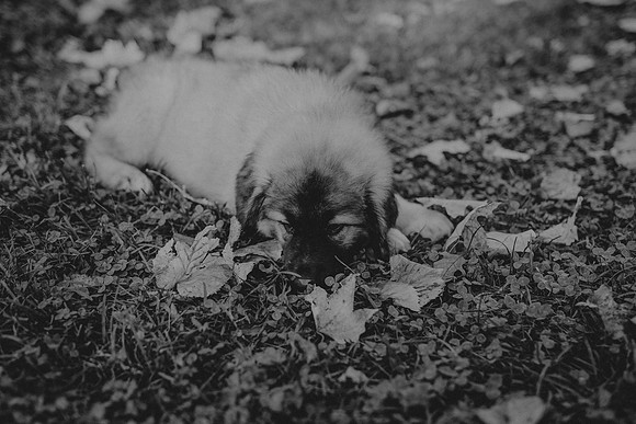 McKenna Fall50bw