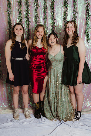 Prom Backdrop172