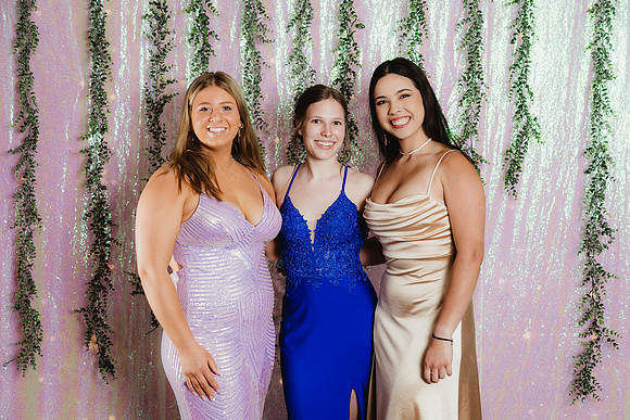 Prom Backdrop39