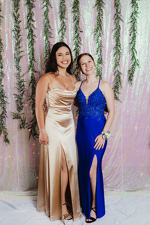 Prom Backdrop44