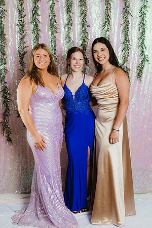 Prom Backdrop38