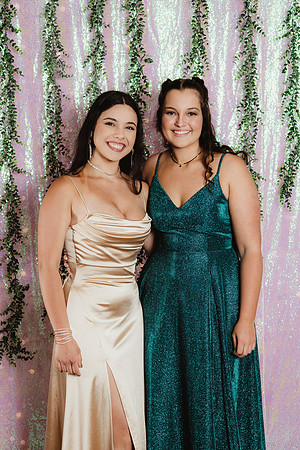 Prom Backdrop35