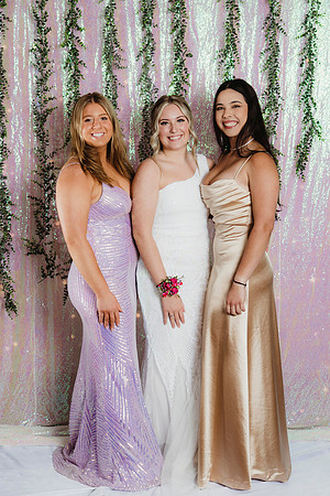 Prom Backdrop13