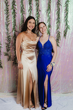 Prom Backdrop45