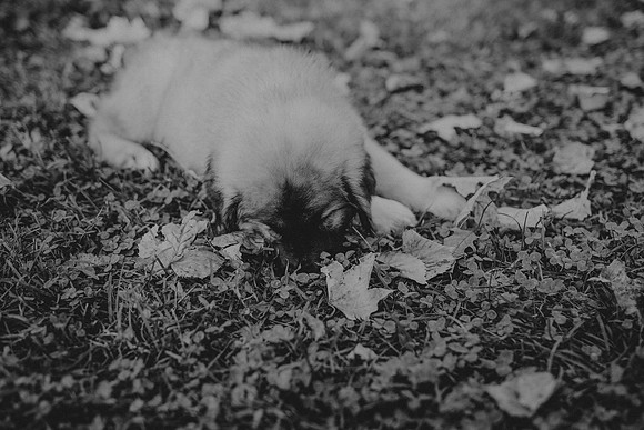 McKenna Fall51bw