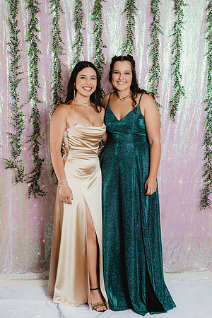 Prom Backdrop34