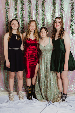 Prom Backdrop171