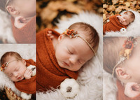 Baby Rice Collage