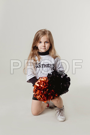 Cheer Mini48